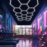 usage  of Hexagon Garage Lights 14 hex in GYM