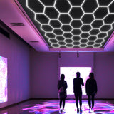 Usage of Hexagon Garage Lights  39 hex in exhibition