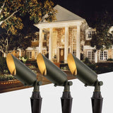 Landscape  Lighting  - LED  Up Lights  outdoor